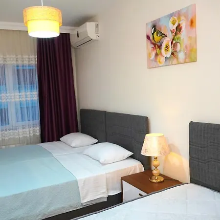 Zenofon ترابزون