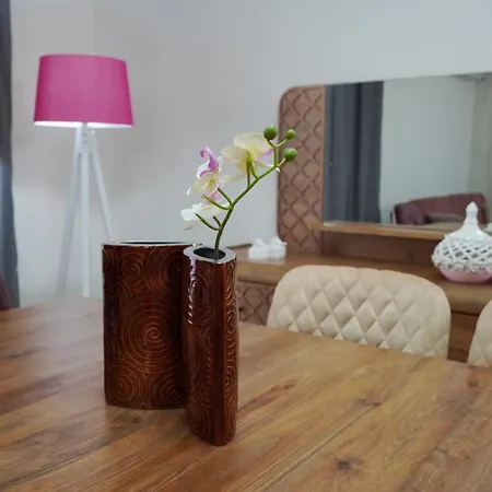 Zenofon ترابزون