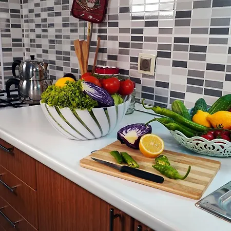 Zenofon ترابزون